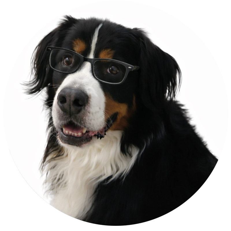 Nadia–Full-Color-Circle